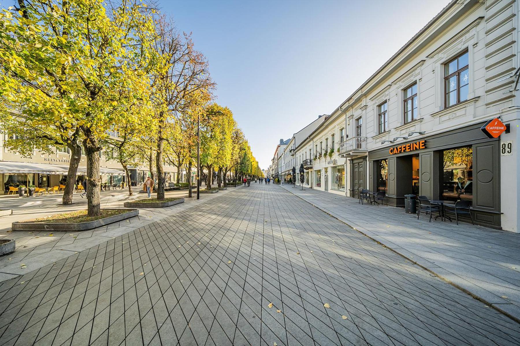 Central Park Apartments - The Luxury Collection Каунас Екстер'єр фото